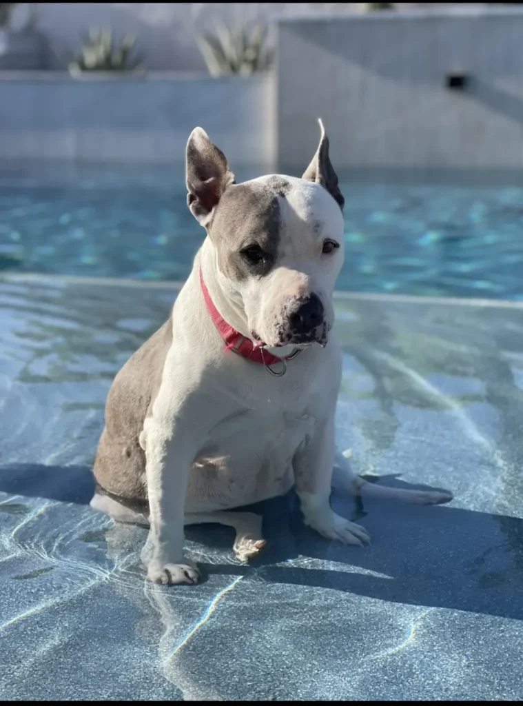 A19F31FA-A378-4ADE-A2B7-71589AB1094B